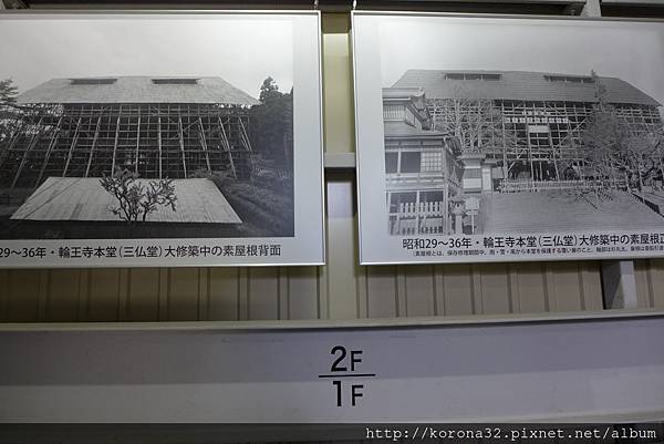 P1030548 P1030548
