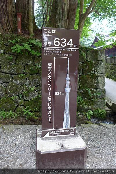 P1030579 P1030579