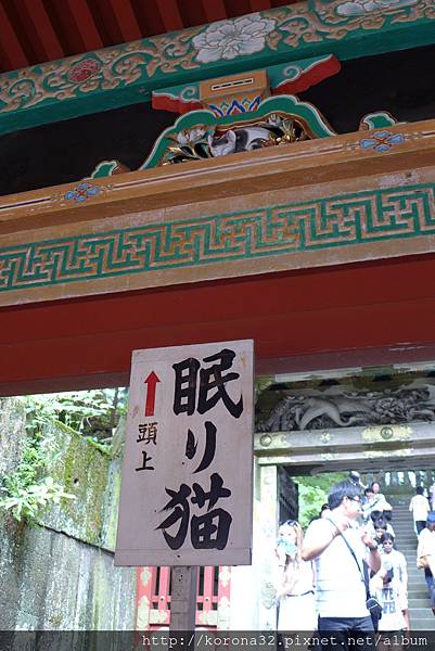 P1030644 P1030644