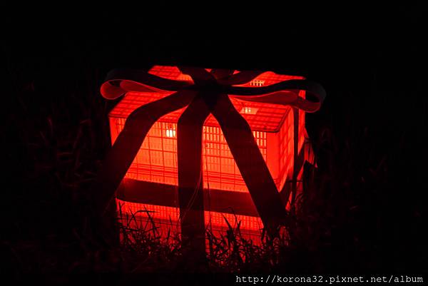 P1090266 P1090266
