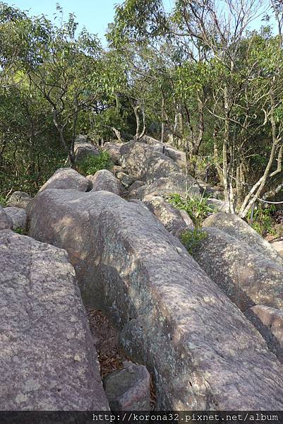 P1090815 P1090815