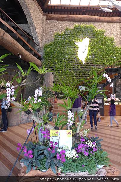 P1090935 P1090935