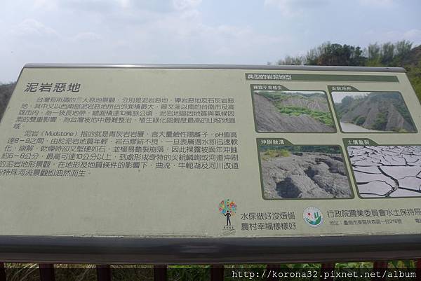 P1100205 P1100205