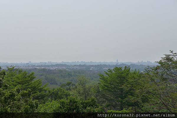 P1100289 P1100289