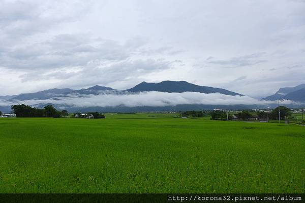 P1100881 P1100881