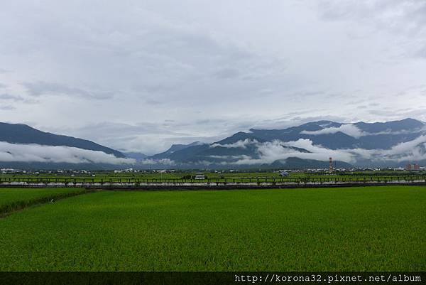 P1100880 P1100880