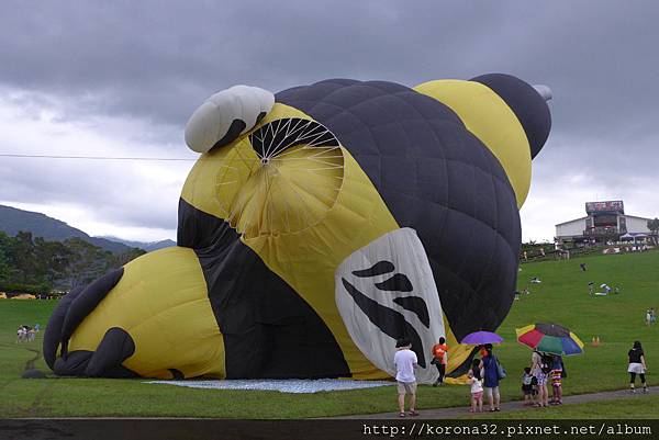 P1110105 P1110105