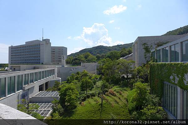 P1120285 P1120285