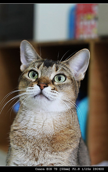 IMG_4044.JPG IMG_4044.JPG