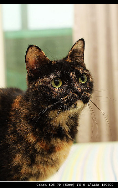 IMG_4082.JPG IMG_4082.JPG