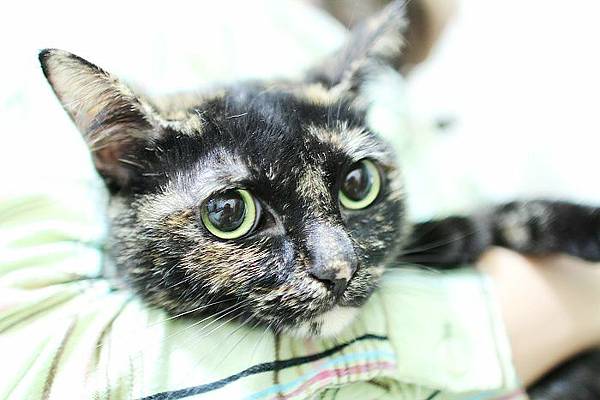 IMG_1459.JPG IMG_1459.JPG