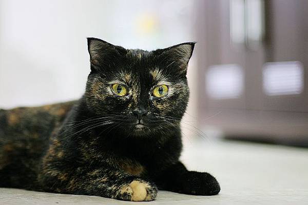 IMG_1775.jpg IMG_1775.jpg