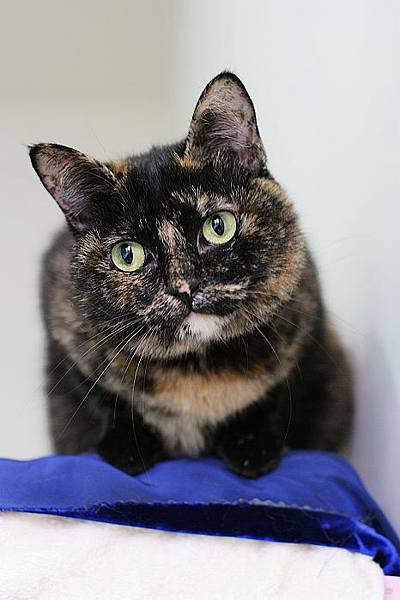 IMG_2597.JPG IMG_2597.JPG