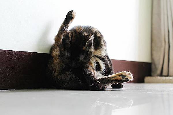 IMG_4919.JPG IMG_4919.JPG