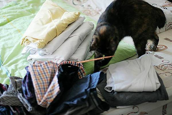 IMG_7175.JPG IMG_7175.JPG