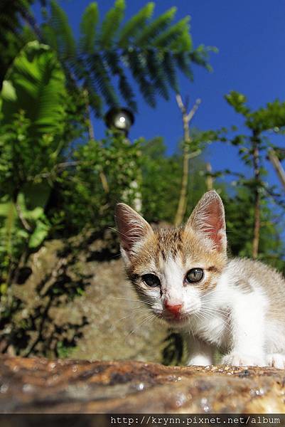 IMG_5790.jpg IMG_5790.jpg