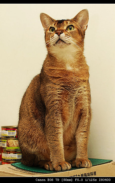 IMG_4085.JPG IMG_4085.JPG