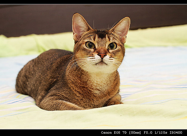 IMG_4105.JPG IMG_4105.JPG