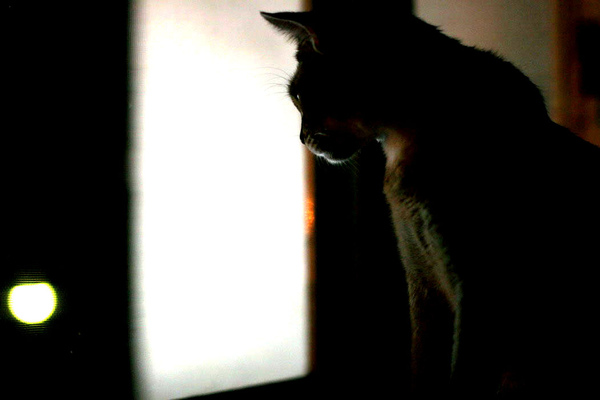 IMG_7984_1.jpg IMG_7984_1.jpg