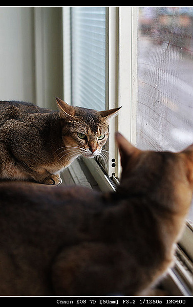 IMG_4030.JPG IMG_4030.JPG