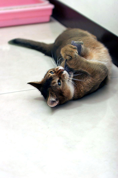 IMG_3583.JPG IMG_3583.JPG