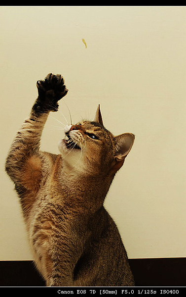 IMG_4049.JPG IMG_4049.JPG