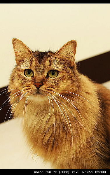 IMG_4083.JPG IMG_4083.JPG