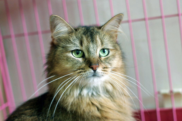 IMG_6362.JPG IMG_6362.JPG