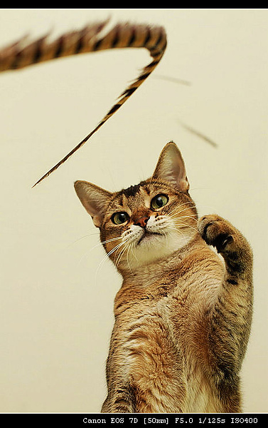 IMG_4054.JPG IMG_4054.JPG