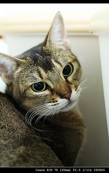 IMG_4012.JPG IMG_4012.JPG