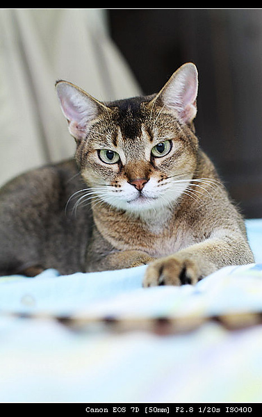 IMG_4069.JPG IMG_4069.JPG