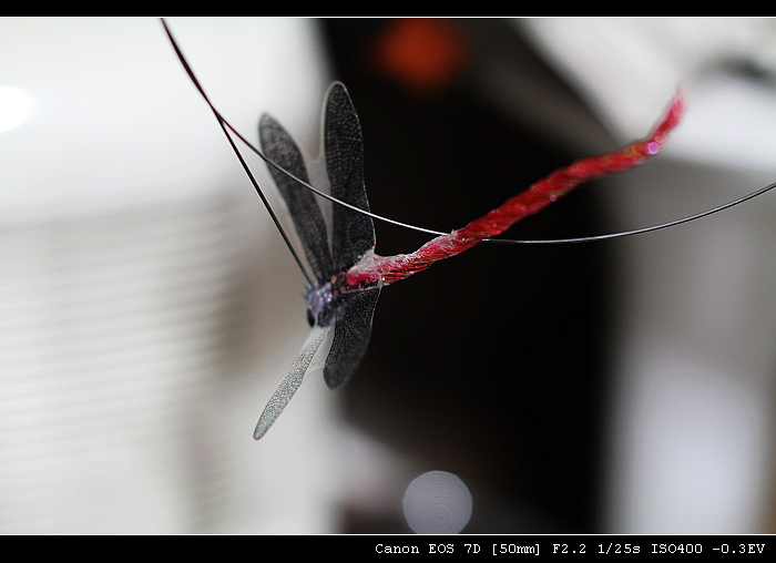 IMG_8653.jpg IMG_8653.jpg