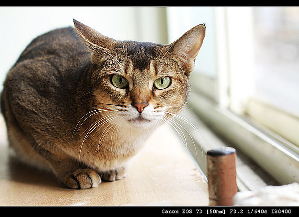 IMG_4025.JPG IMG_4025.JPG