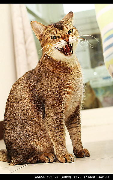 IMG_4056.JPG IMG_4056.JPG