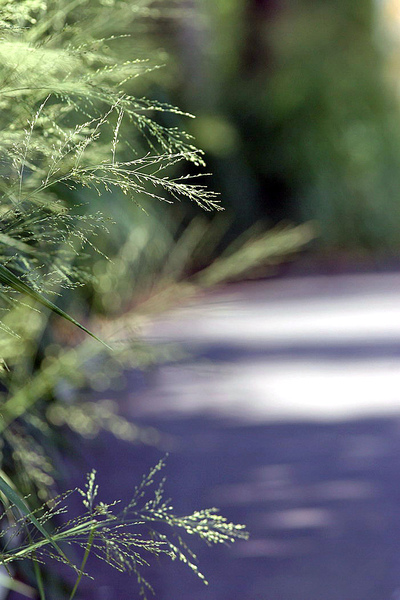 IMG_6887.JPG IMG_6887.JPG