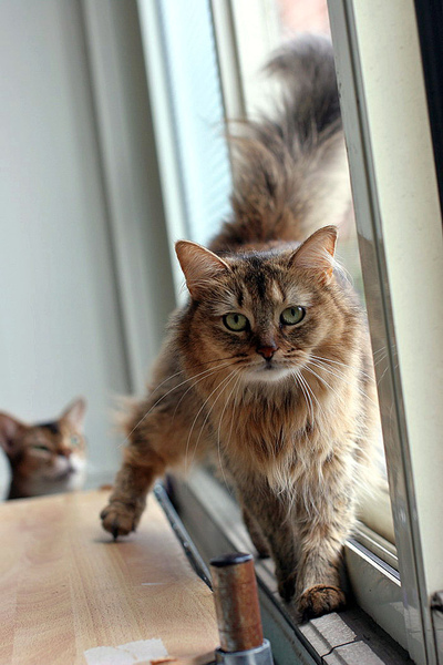 IMG_6398.JPG IMG_6398.JPG