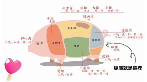 腿庫示意圖