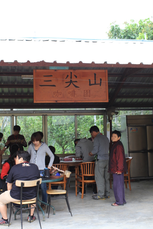 東山-三尖山咖啡園