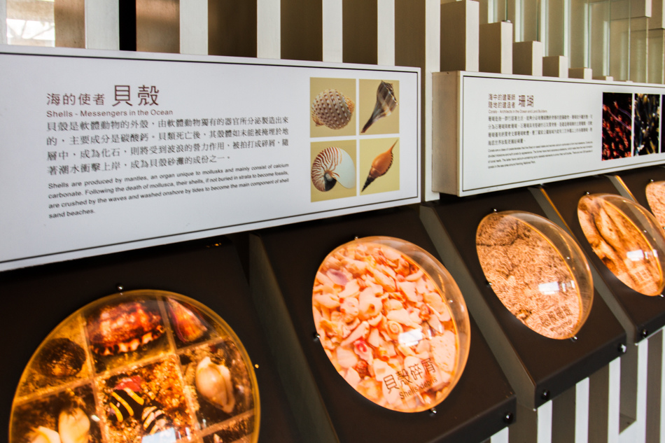 微風墾丁會館-貝殼砂展示館