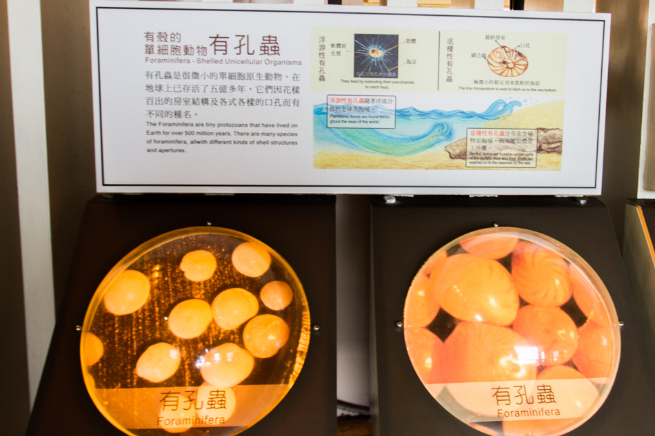 微風墾丁會館-貝殼砂展示館