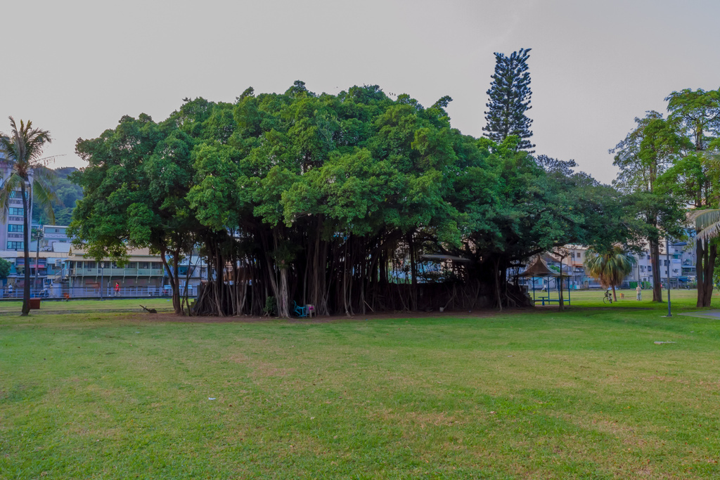 哈瑪星公園路橋鐵道園區-天空雲台