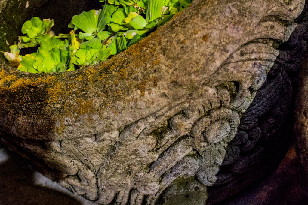 馬鈴薯頭餐酒館