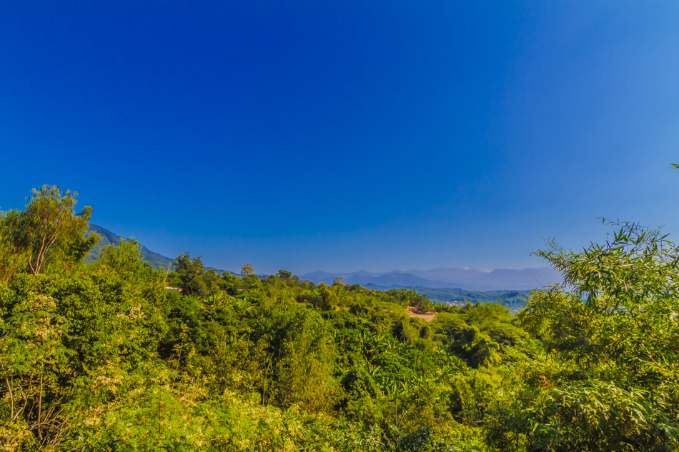 高雄旅遊-水泉農場萬步雞 高雄旅遊-水泉農場萬步雞