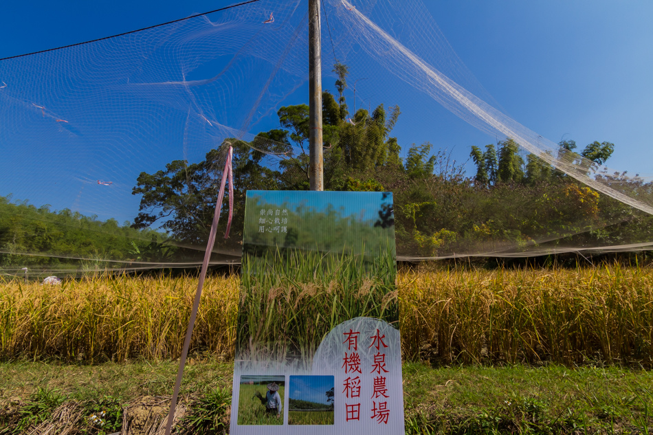 高雄旅遊-水泉農場萬步雞 高雄旅遊-水泉農場萬步雞