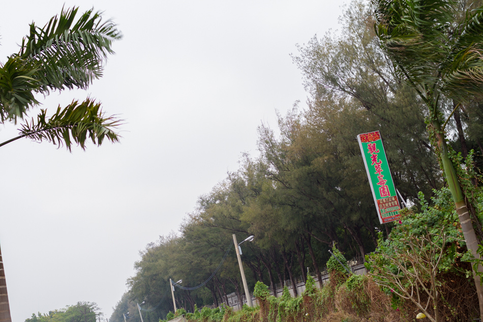 大崗山觀光草莓園