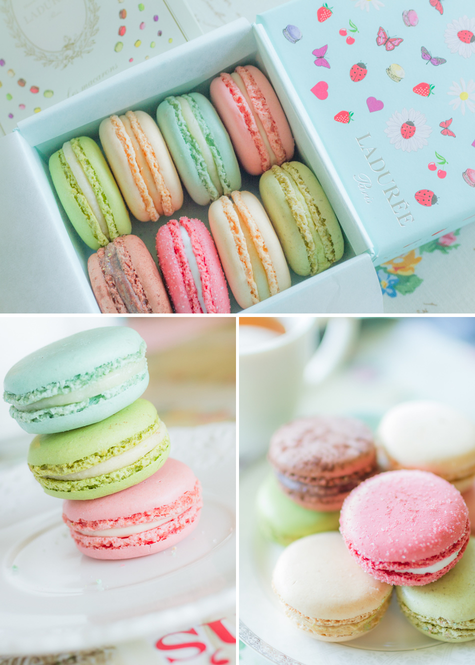 法國百年馬卡龍名店 Ladurée 法國百年馬卡龍名店 Ladurée
