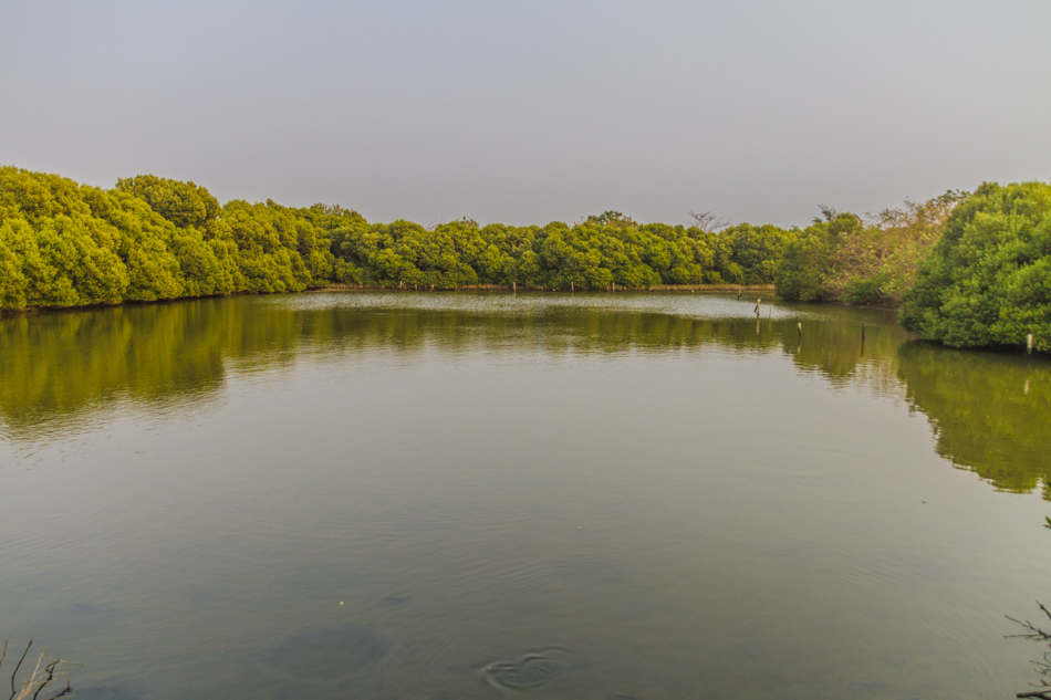 援中港濕地公園