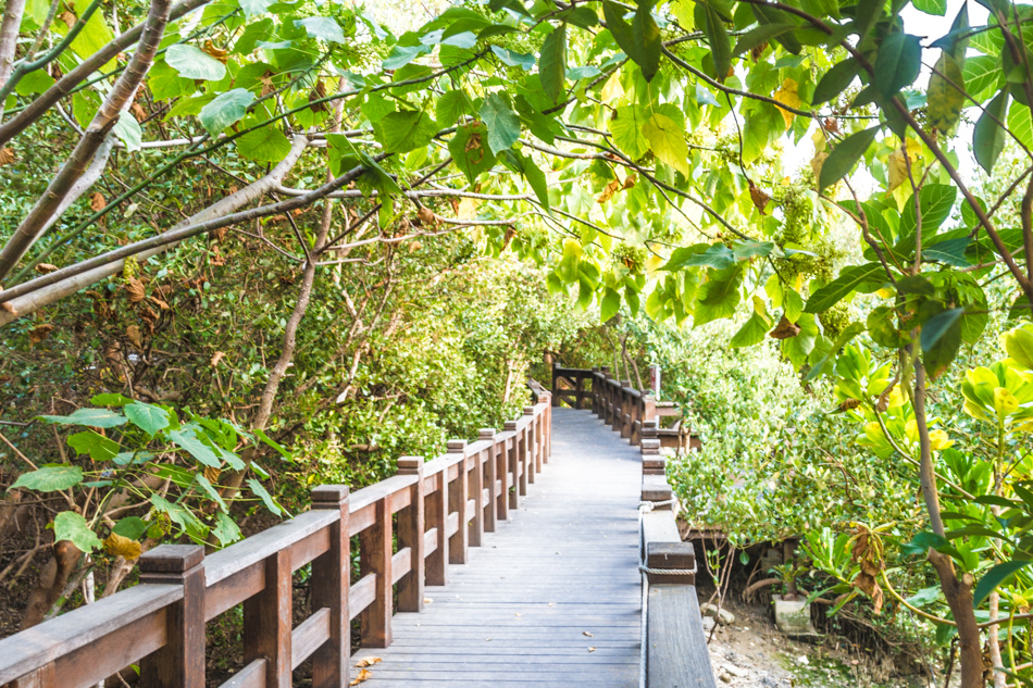 援中港濕地公園