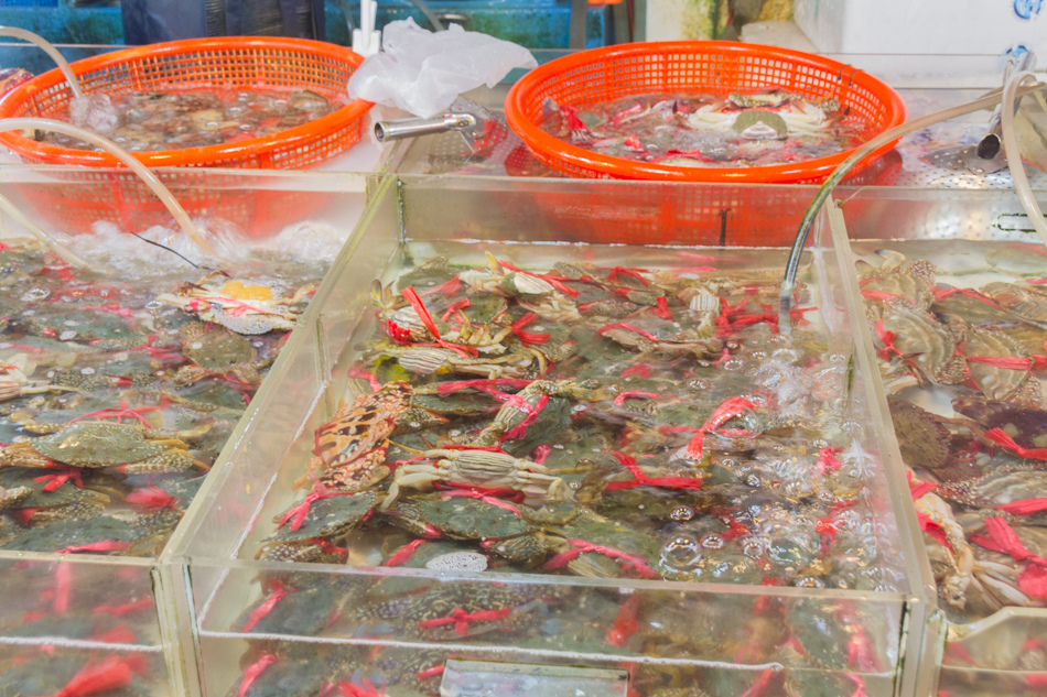 蚵仔寮港觀光魚市