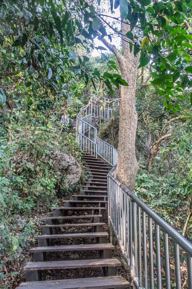 柴山自然公園